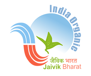certificate logo-10