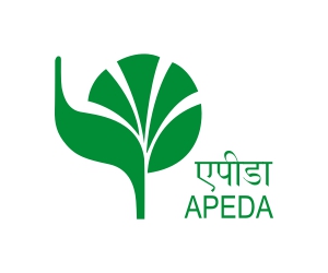 certificate logo-2