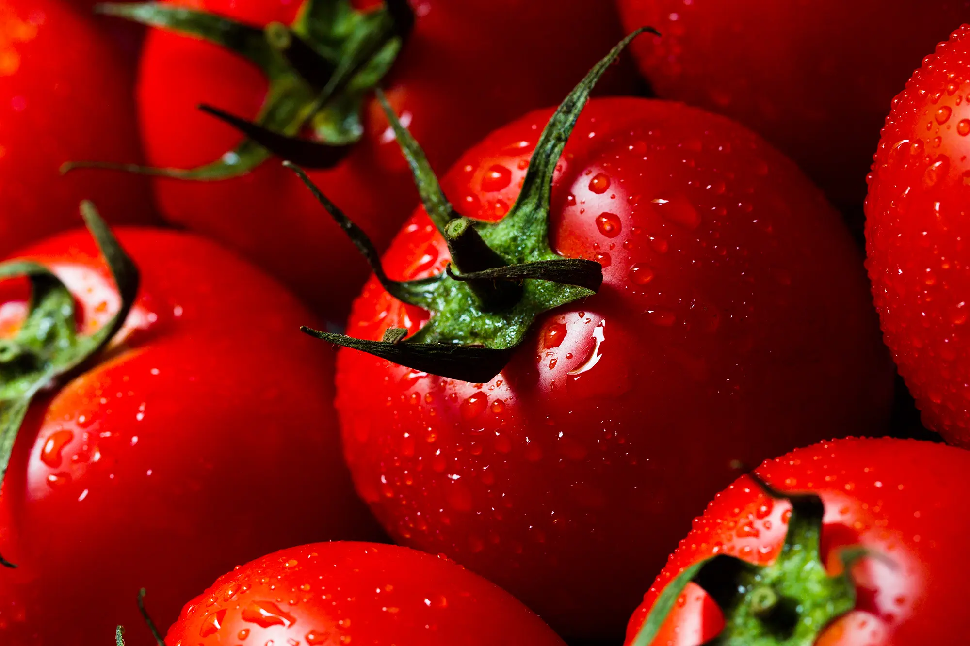 Ready To Eat Sauce and Marinades including curry sauces, marinades, simmer sauces, and food preparation solutions